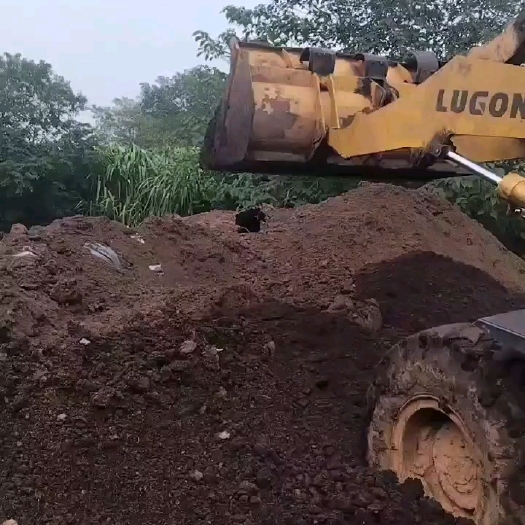 金堂县发酵牛粪