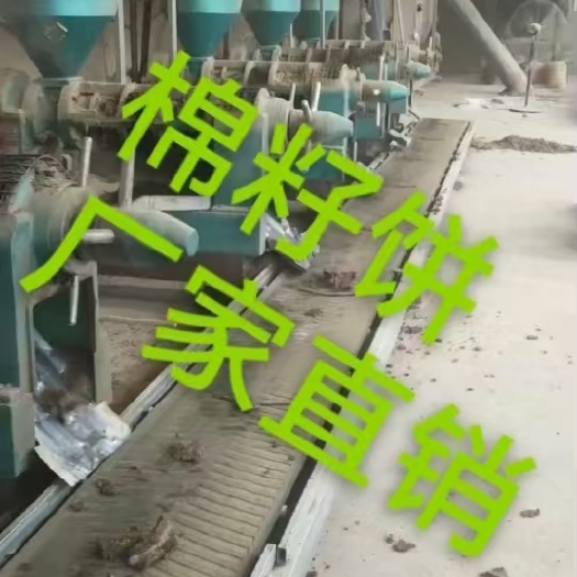 石家庄棉籽饼