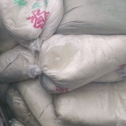 桂平市豆腐渣饲料