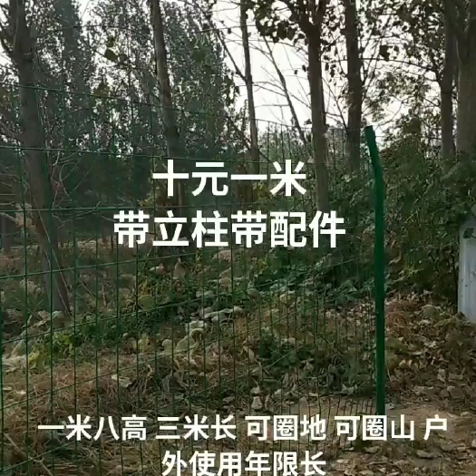 安平县护栏网
