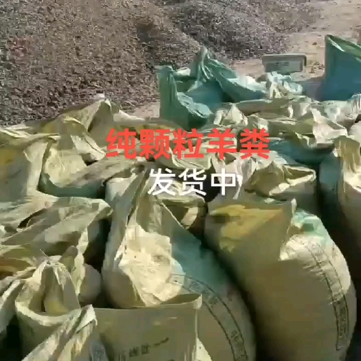 砀山县纯颗粒羊粪，60.100袋装平均50多斤，