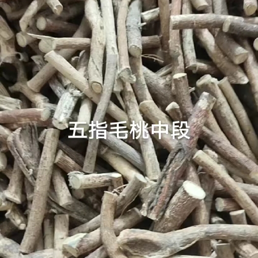 佛山五指毛桃中段
