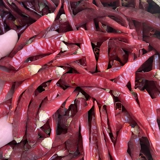 哈密朝天椒，香辣宝银829，新疆产地，精品加工，