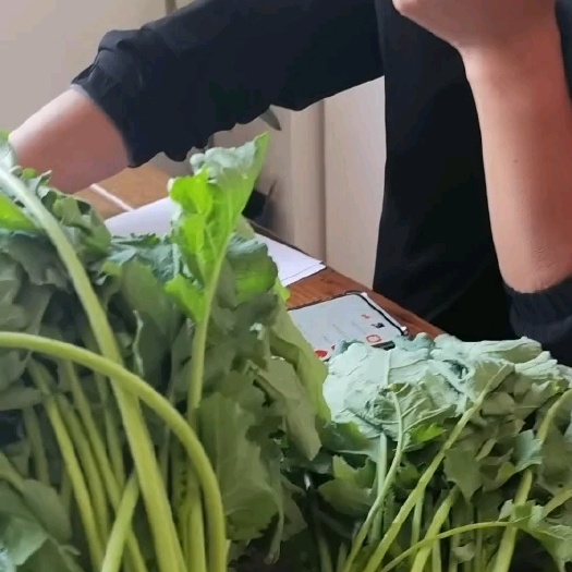 油菜苔快上市产地直销