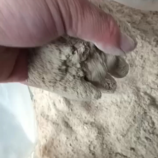 临沂鱼粉