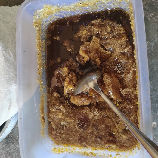 大关县品质保证，自家养的天然蜂蜜，采取铁皮石斛花，百花等，酿造而成