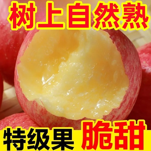 深圳9斤冰糖心苹果【不脆甜包赔】冰糖心苹果水果新鲜应季水果批发丑