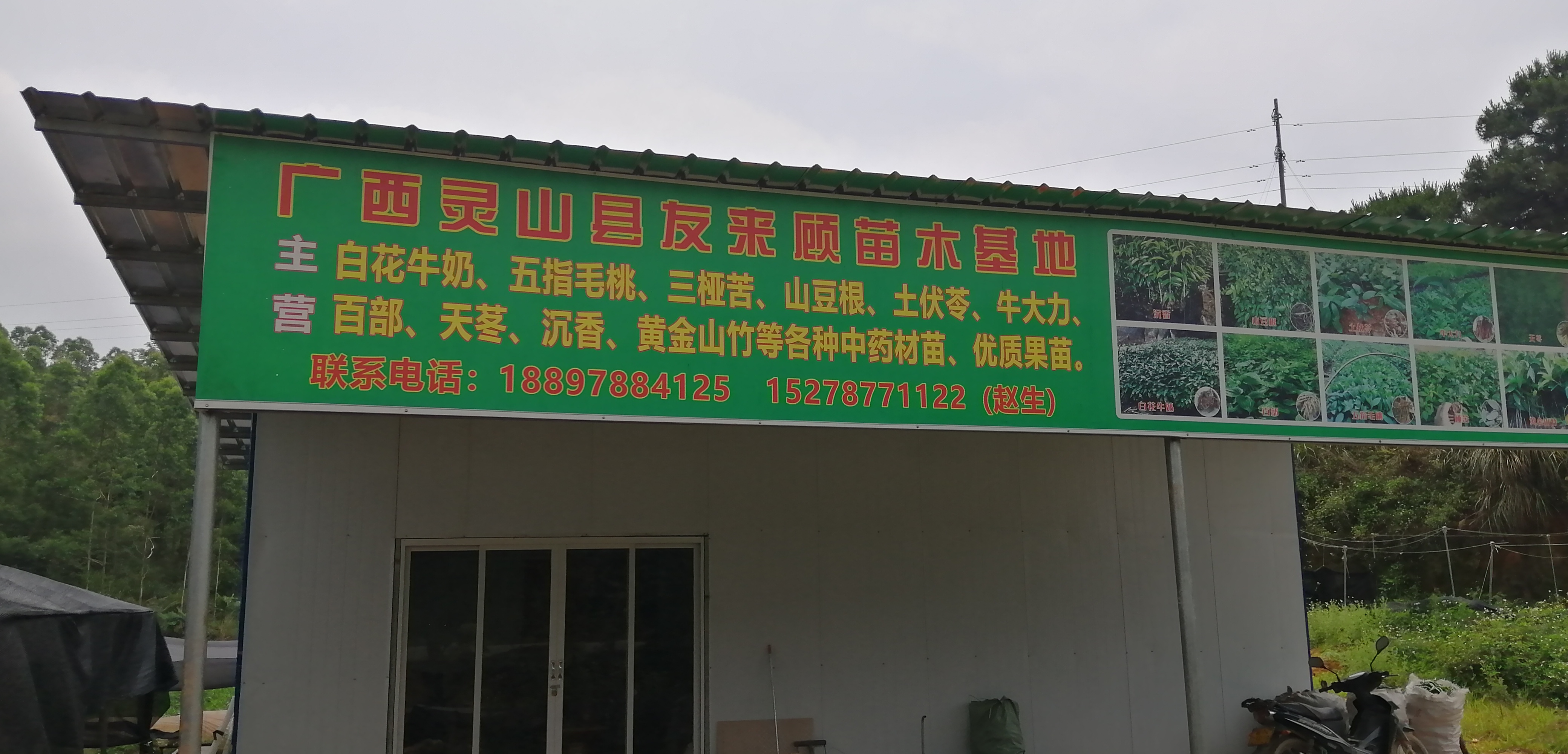 友來顧果苗場