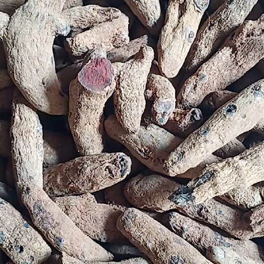 玉林正品血三七中药材批发一手货源量大忧惠