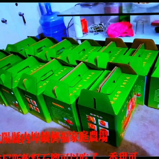 汝阳县突尼斯软籽石榴