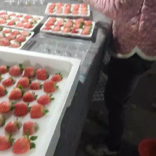徐州奶油草莓