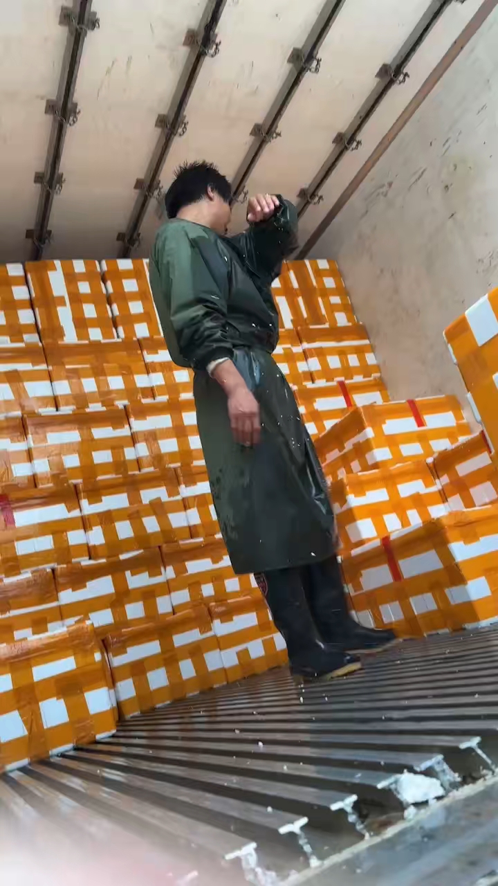 韭黄