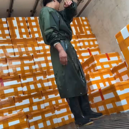 海安市韭黃