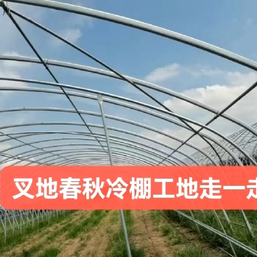 天津育苗棚