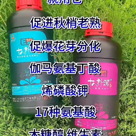 安丘市十八补头伽马氨基丁酸高磷钾＋硼钼钴保花育果组合