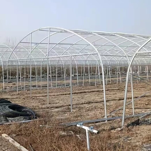 沭阳县温室大棚骨架