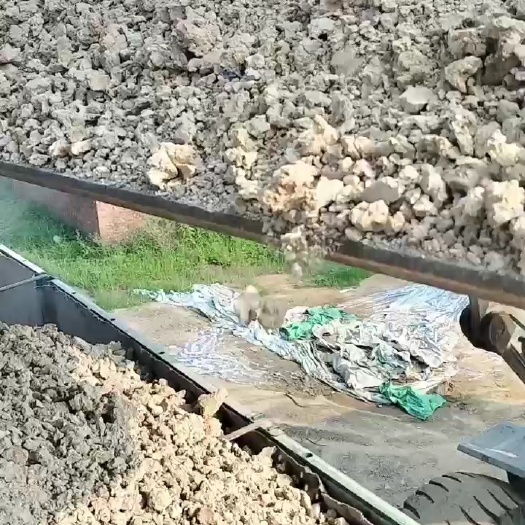 卢龙县饲料型红薯渣