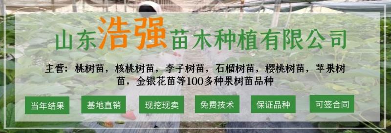 浩強苗木種植有限公司