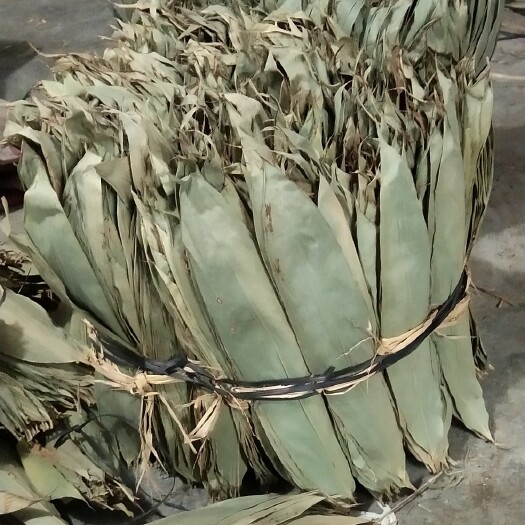 恭城县野生箬叶
