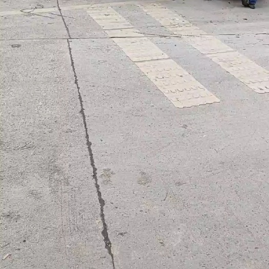 恭城县农户刚下树的桂林恭城月柿