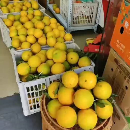 信丰县赣南脐橙之信丰安西脐橙