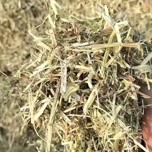 延津县干草