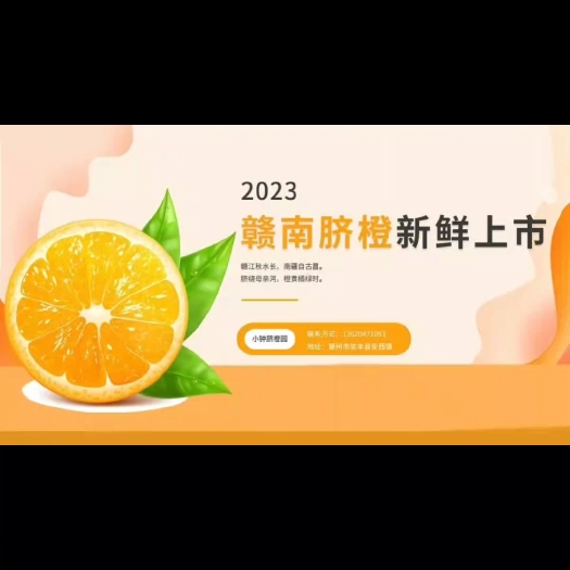 信丰县赣南信丰纽荷尔脐橙