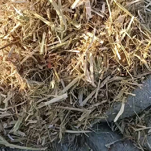 镇平县花生秧草料