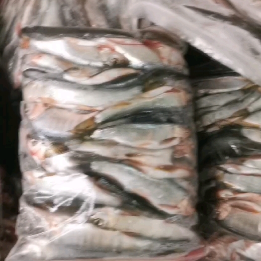 贺州新鲜