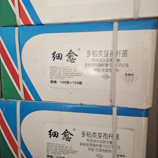 宁远县多粘类芽孢杆菌