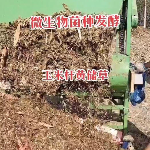 三原县微生物菌种发酵玉米杆黄储草