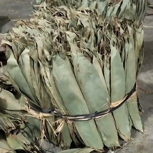 恭城县粽叶
