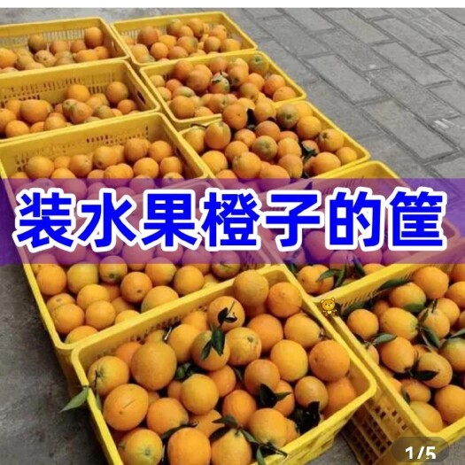 麻阳县湖南长寿之乡麻阳，湖南单品水果销售冠军质优价美