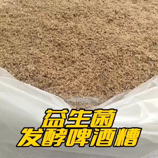 平原县吨包益生菌发酵啤酒糟