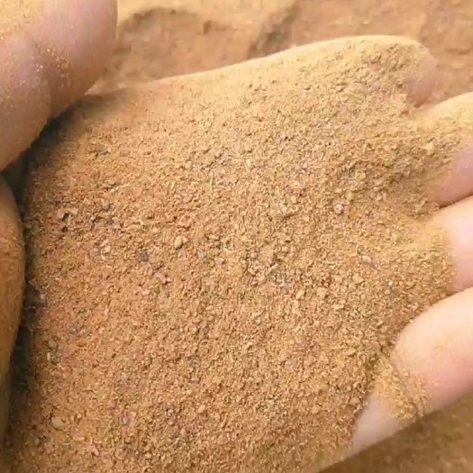 喷浆豆渣