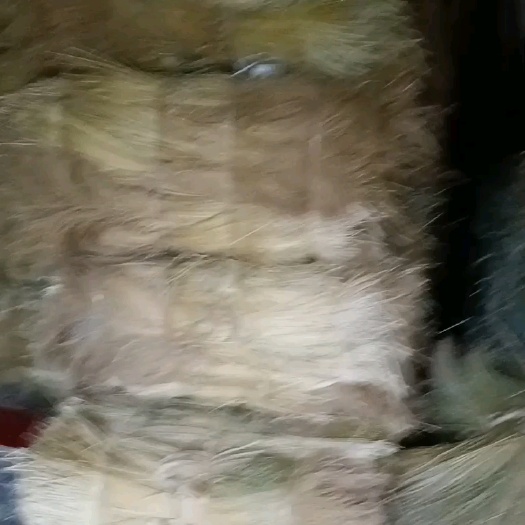 从江县贵州糯米草心