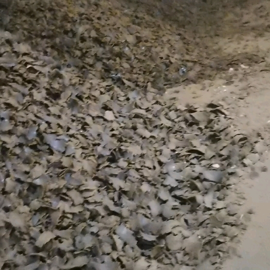 郓城县我是油厂的，我们生产棉籽饼，它含有机质和微量元素，