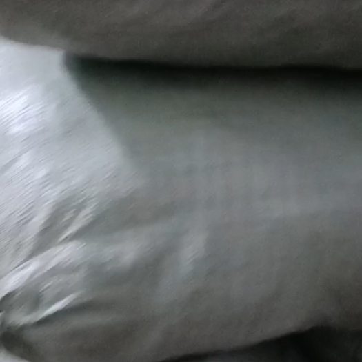 梧州有大量的狸尾草，现货，15一斤