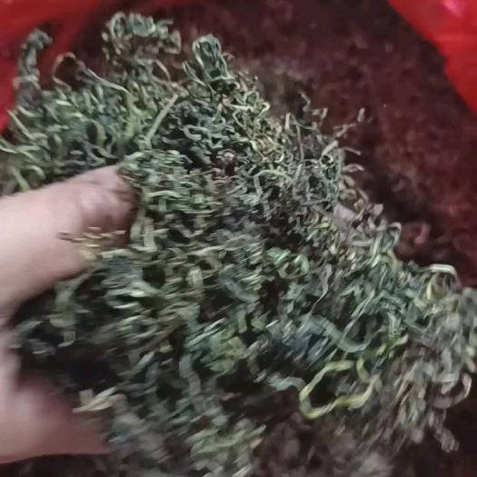 蒲公英茶