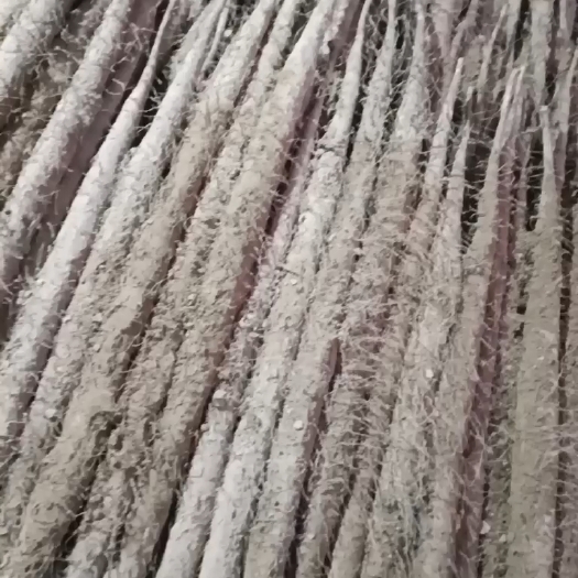 大名县棒山药