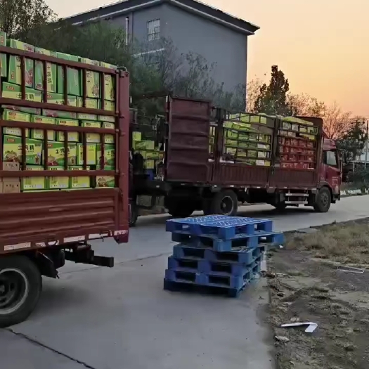 乐陵市调味料
