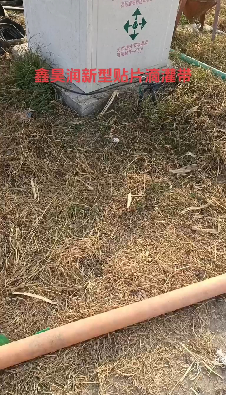 地头一条横管，255米出水均匀，易管理，省人工，灌溉速度快