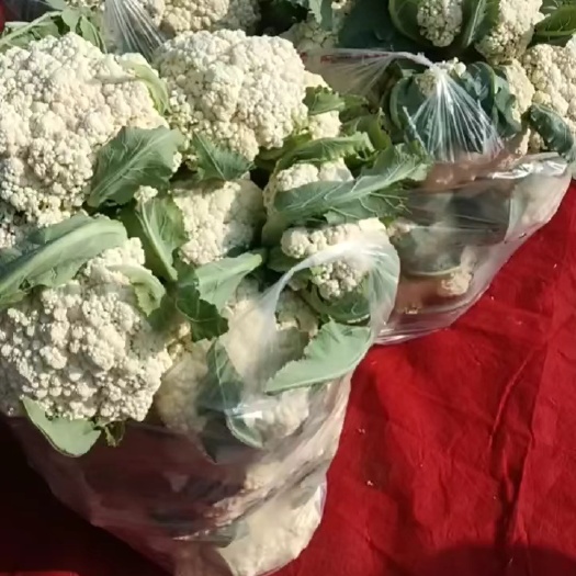 简阳市散花