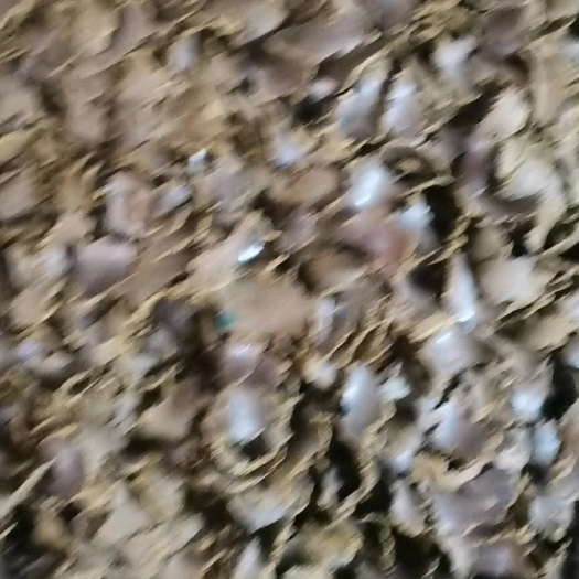 郓城县你好，我是山东菏泽明扬油厂的，销售纯真棉籽饼质量稳定货源充足