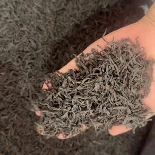 安溪县茶叶批发  红茶批发