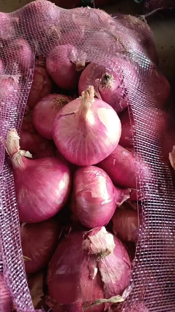 洋葱，红黄紫葱常年供应，电商食堂市场供应，一手货源，无中间商