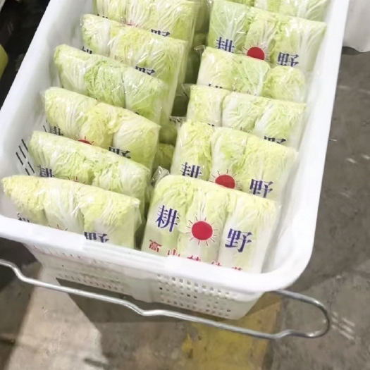 宜昌娃娃菜