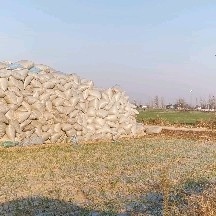 濮阳县柔丝除尘大豆秸秆