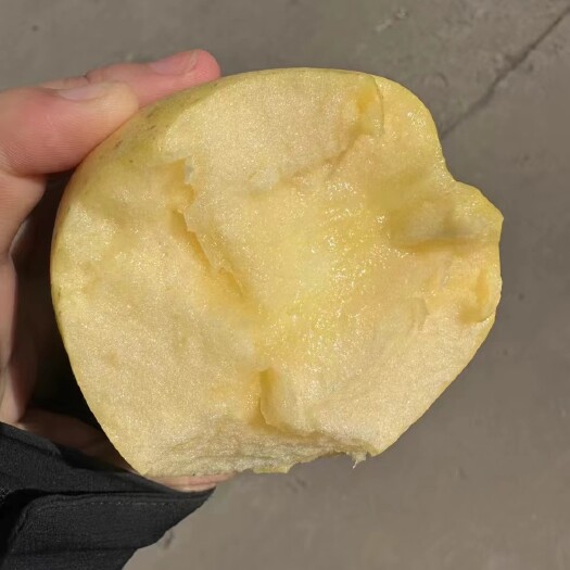 平陆县维纳斯黄金苹果