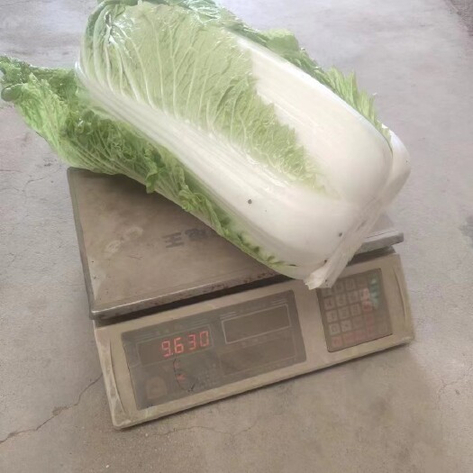 正定县北京三号